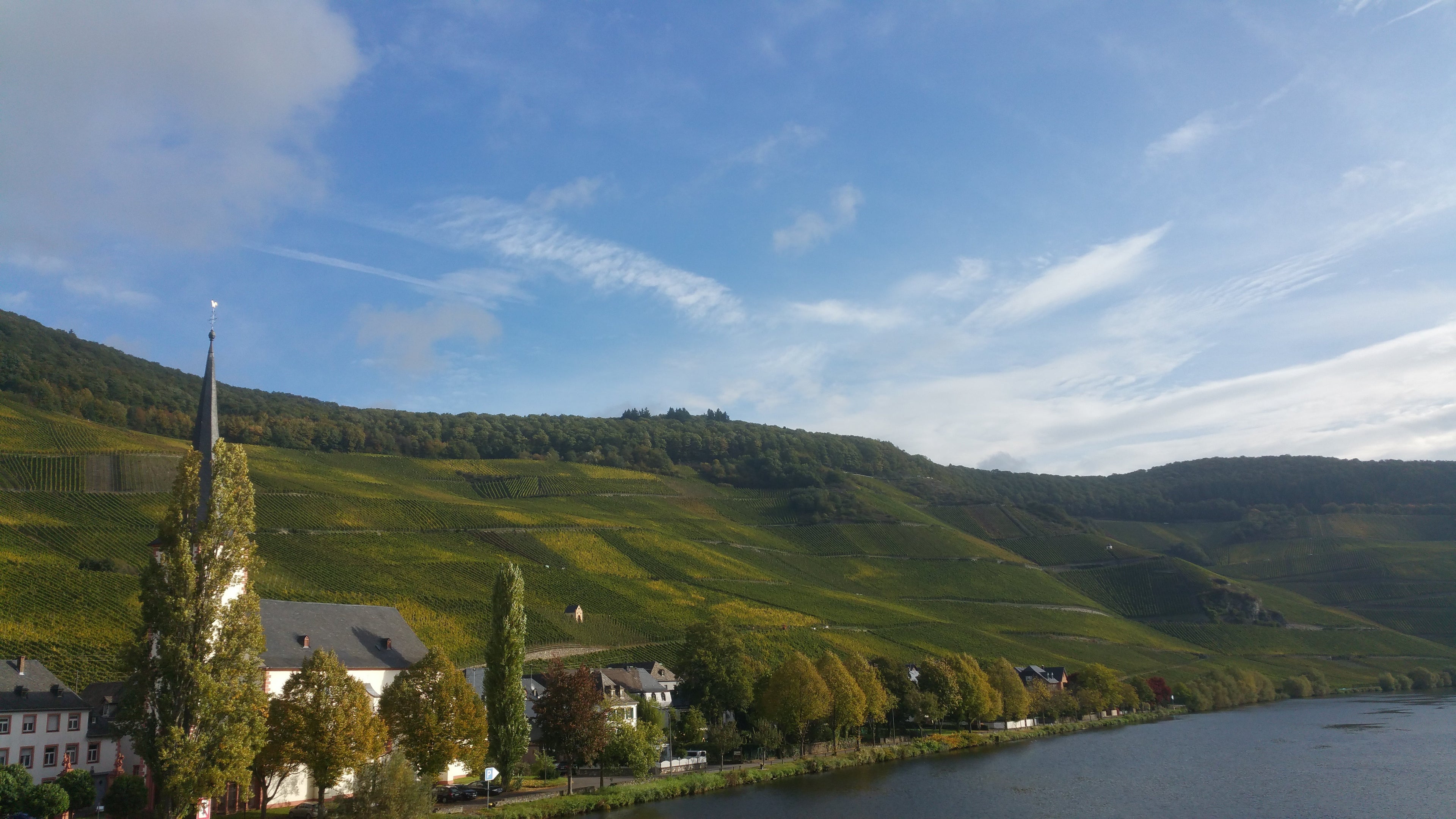 Weingut Julian Haart - Piesport, Mosel, Germany