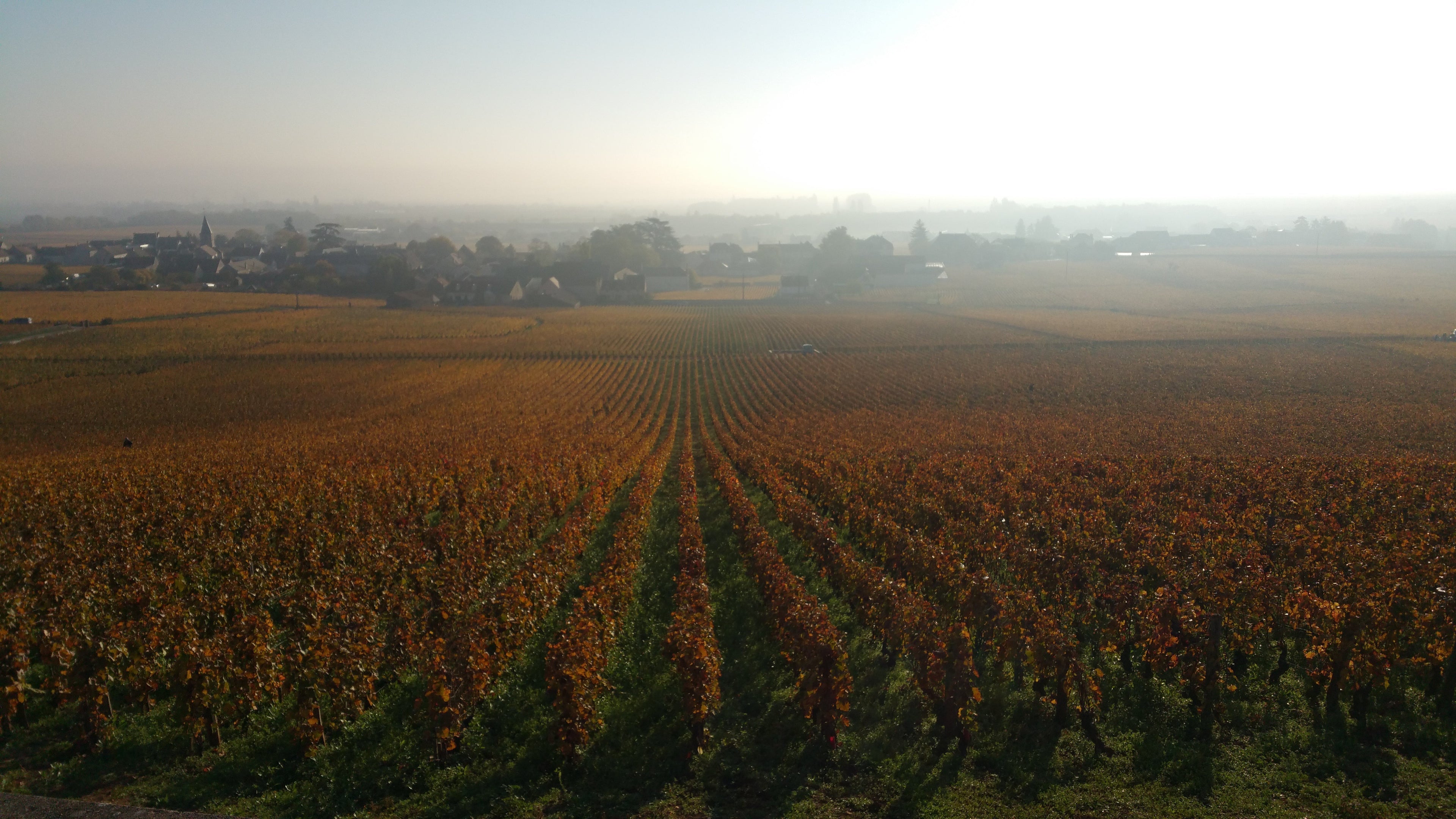 Keller - Flörsheim-Dalsheim, Rheinhessen, Germany