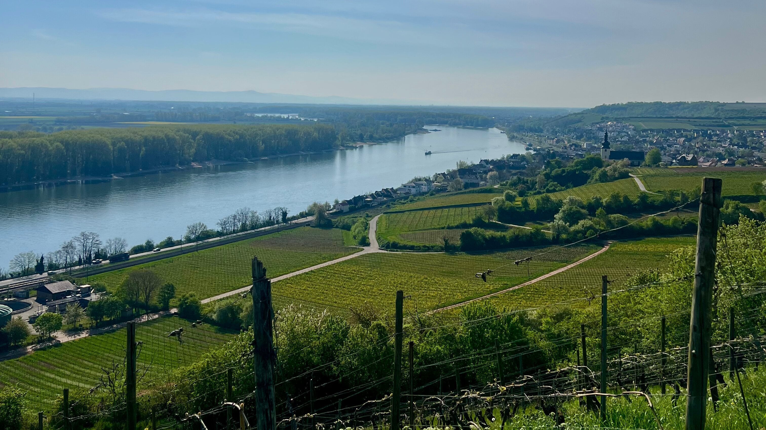 Moritz Kissinger – Uelversheim/Nierstein, Rheinhessen, Germany
