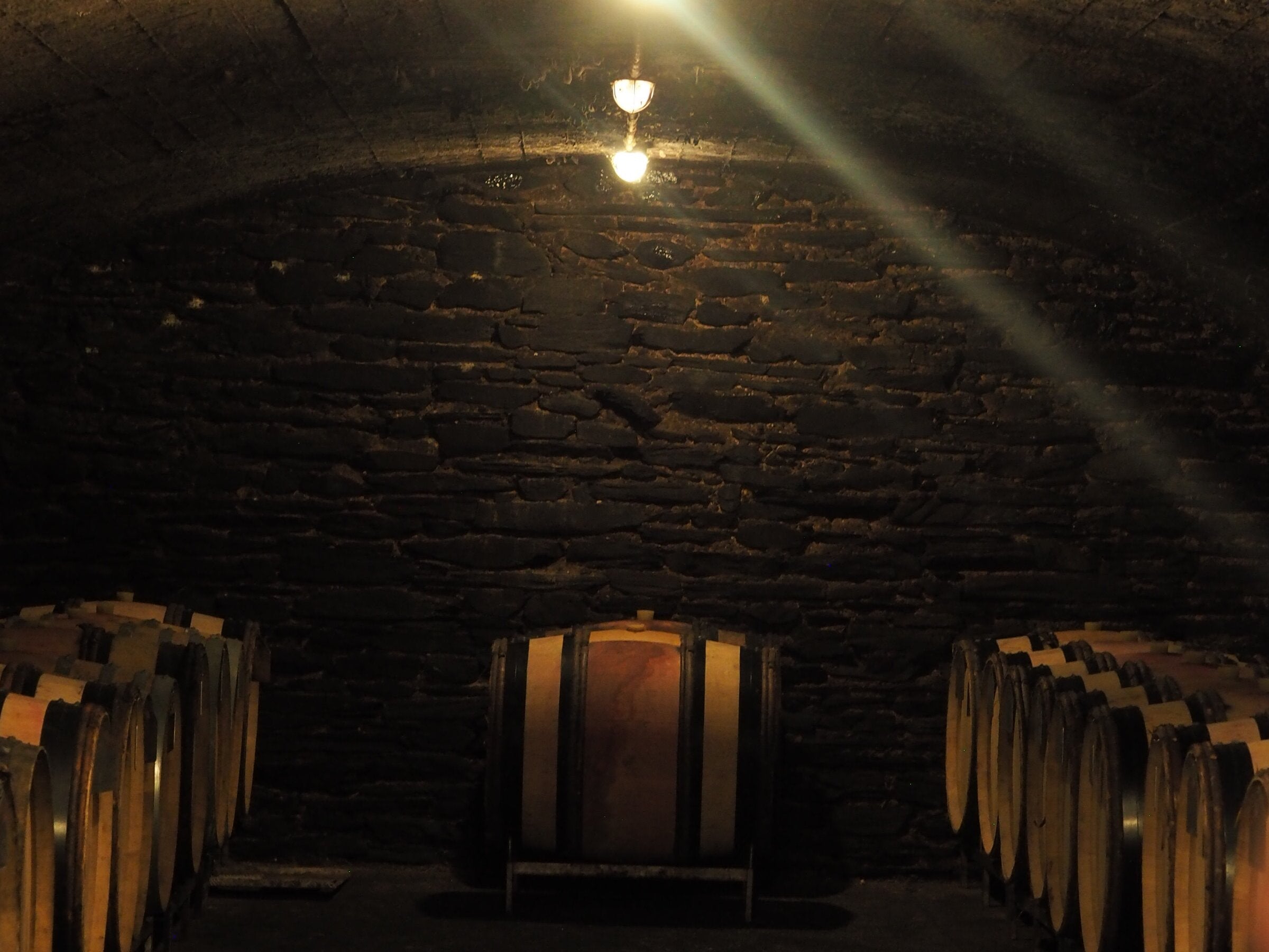 Daniel Twardowski – Neumagen-Dhron, Mosel, Germany