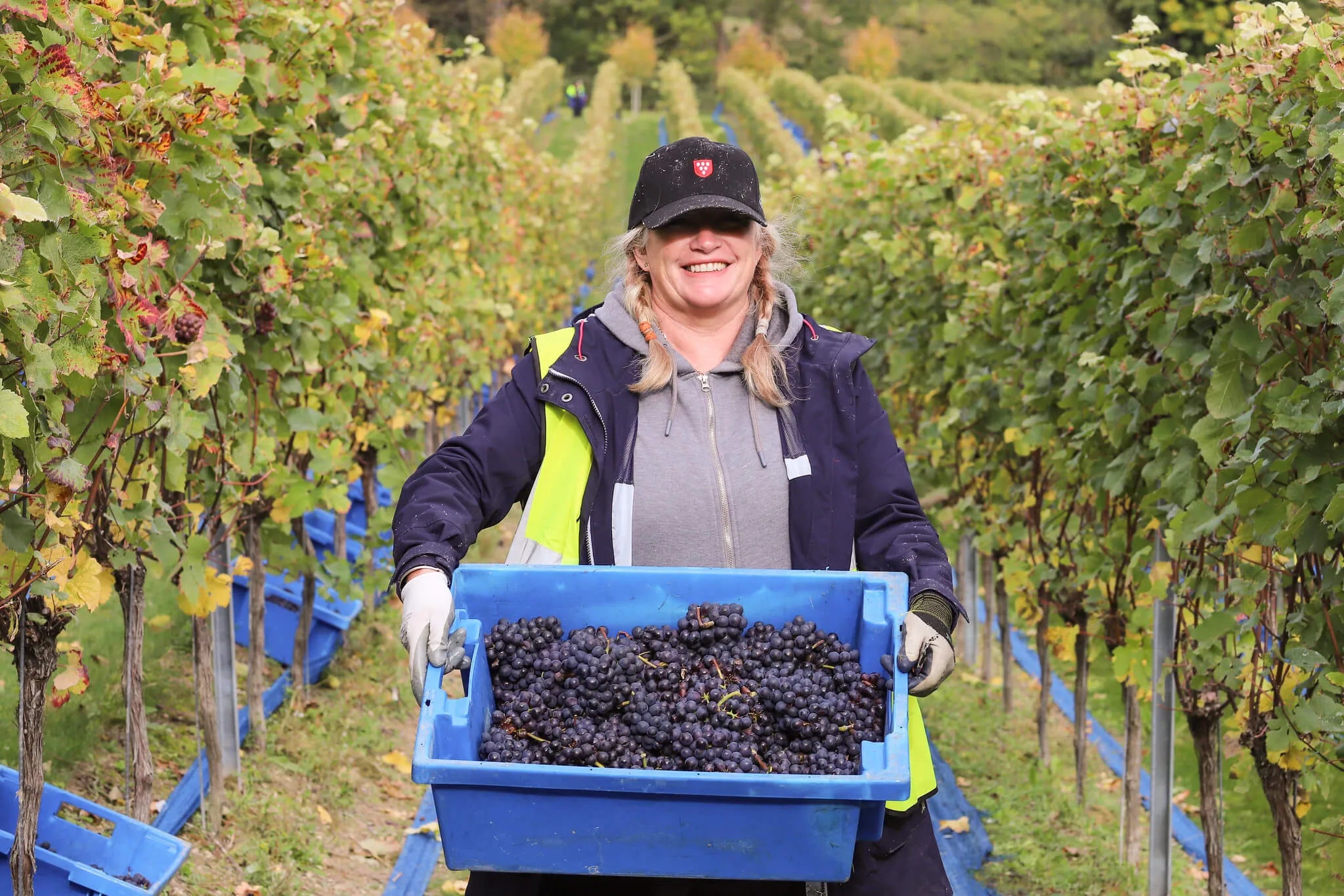 Why Tech Founders Are Quietly Becoming Wine Collectors