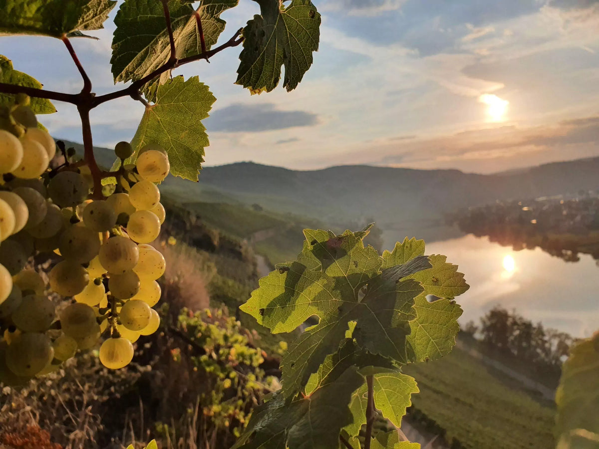 Miao Lu (淼庐) - Yunnan, China