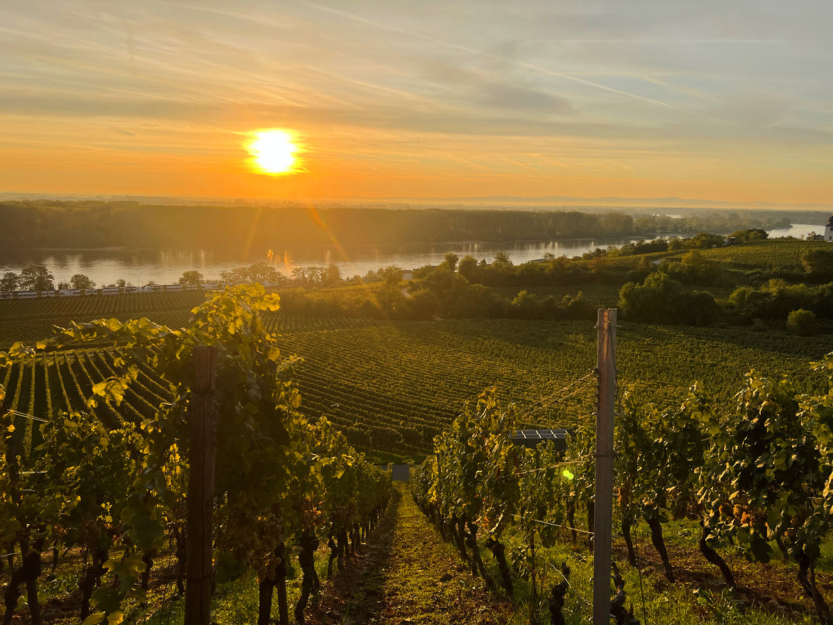 Miao Lu (淼庐) - Yunnan, China