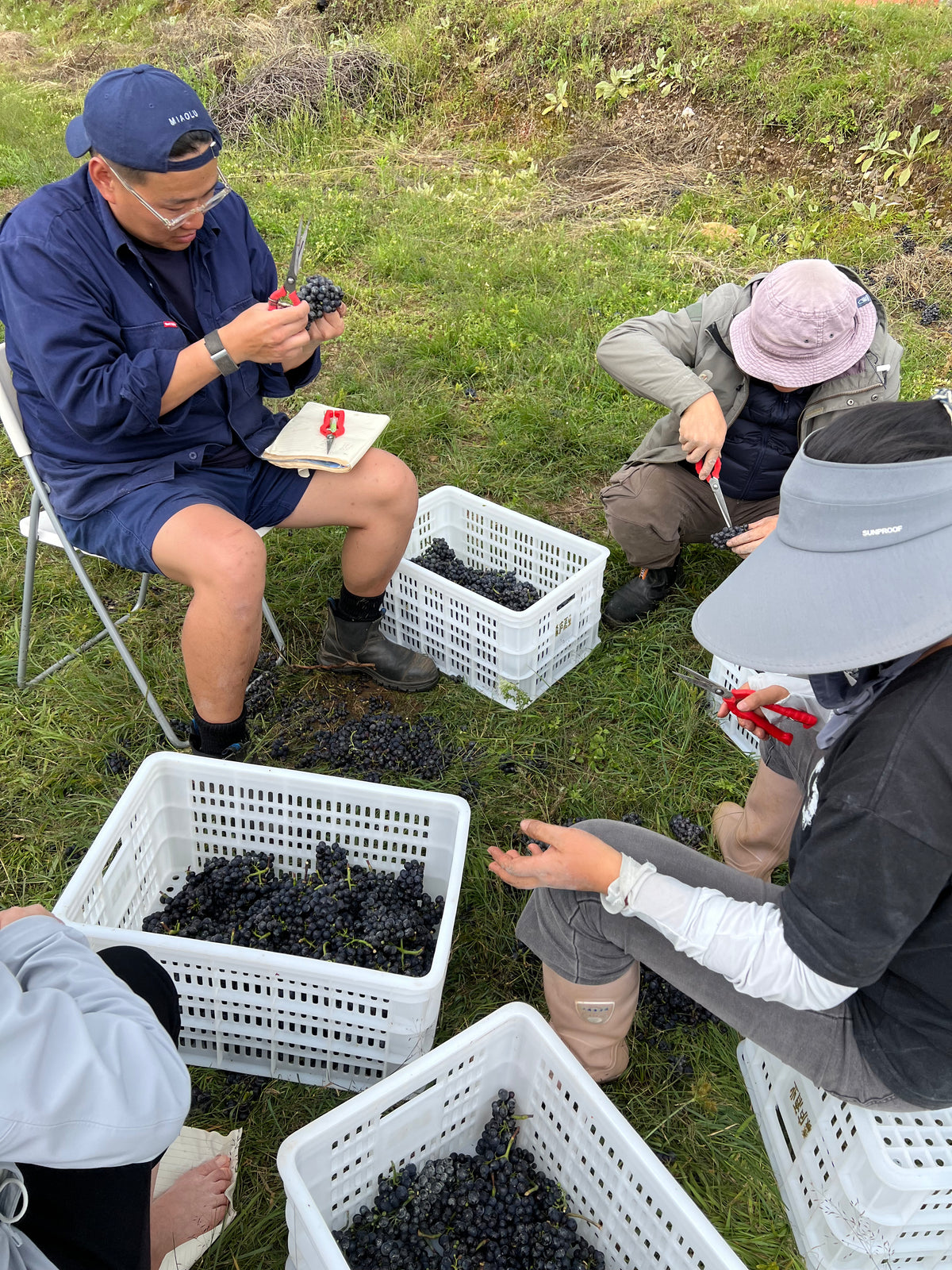 Miao Lu (淼庐) - Yunnan, China